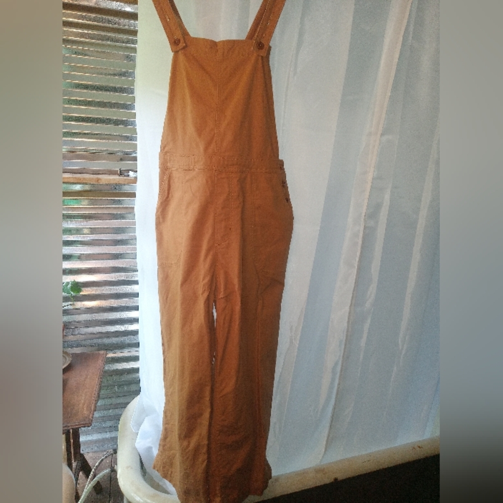 Patagonia organic cotton overalls. Size 12.